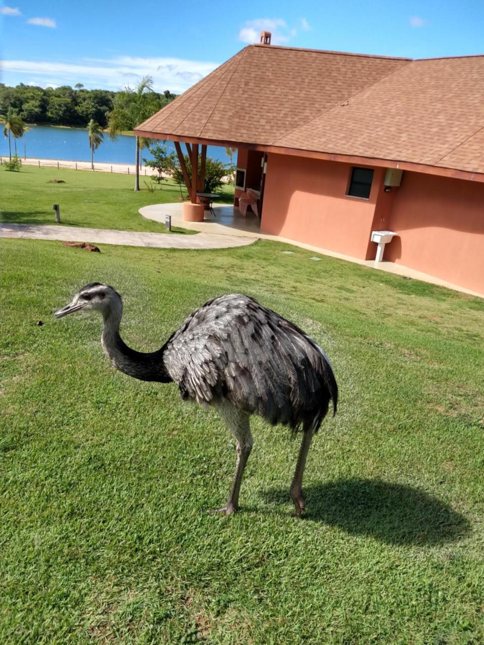 Malai Manso Cotista - Resort Acomodacoes 4 Hosp (Adults Only) Retiro  エクステリア 写真
